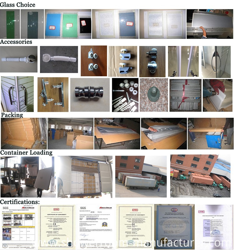 2 Hinge Door Glass Shower Screen (ADL-8A5)